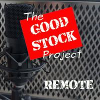 The Goodstock Project photo