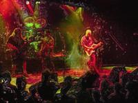 Lee Krabbe photo