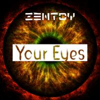 ZenToy photo