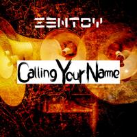 ZenToy photo