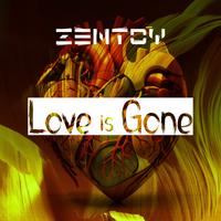 ZenToy photo