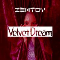 ZenToy photo