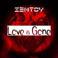 ZenToy photo