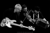 Cajun Roosters photo