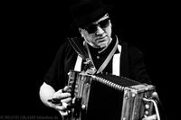 Cajun Roosters photo