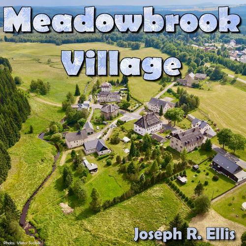 Profile photo Meadowbrook_Village.jpg