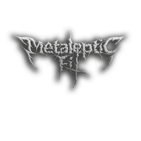 Metaleptic Fit photo