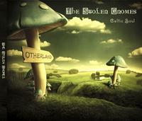 The Stolen Gnomes photo