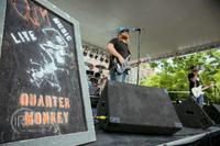 Quarter Monkey photo