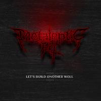 Metaleptic Fit photo