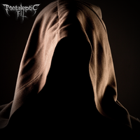 Metaleptic Fit photo