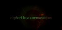 elephant bass communication photo
