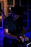 Donzo's Cosmos photo