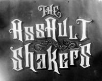 The Assault Shakers photo