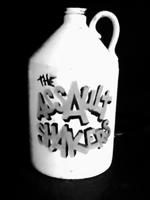 The Assault Shakers photo