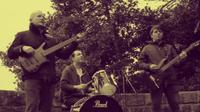 Steve Thompson & The Incidents photo