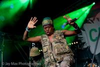 DUBVOCALIZA photo