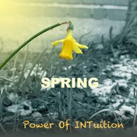 Power Of INTuition photo