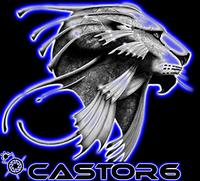 Castor 6 Records Artists photo