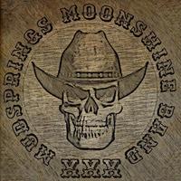 Mudsprings Moonshine Band photo