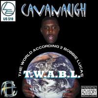 Cavanaugh Da Southern Champ photo