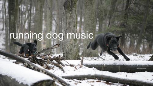 Profile photo YouTubeRunningDogMusic2560x1440.jpeg