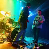 The Sogs photo
