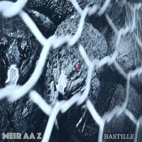 MEIR AA Z photo