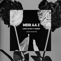 MEIR AA Z photo
