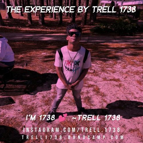 The Experience By Trell 1738 π cover