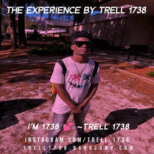 The Experience By Trell 1738 π cover