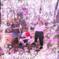 Trell 1738 photo