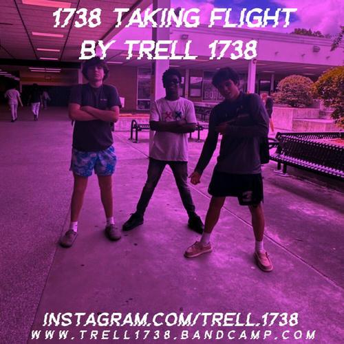 1738 Taking Flight By Trell 1738 π cover