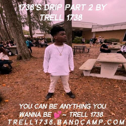 Trell 1738 π cover