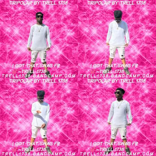 Trell 1738 Tripolar By Trell 1738 ππ cover