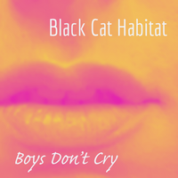 Black Cat Habitat photo