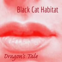 Black Cat Habitat photo