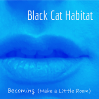 Black Cat Habitat photo