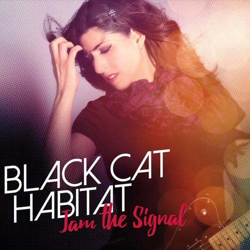 Jam the Signal cover