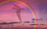 Susan Marie Gallion photo