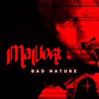 MAVORT photo