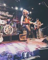 The Damn Torpedoes - a Tribute to Tom Petty and the Heartbreakers photo