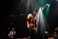 The Damn Torpedoes - a Tribute to Tom Petty and the Heartbreakers photo