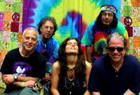 Retro69 Woodstock Revival photo