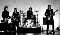 The Grip Weeds photo