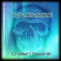 Chasin' Insane photo