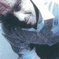 Bandero photo