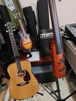 String Emergence photo
