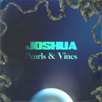 Joshua photo