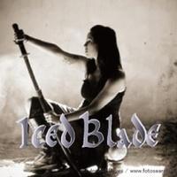 Iced Blade photo